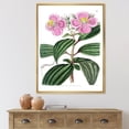 thumbnail image 3 of Designart Vintage Plant Life XXIII FLOAT FRAME WALL ART, 3 of 4