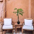 thumbnail image 4 of Miangastore Écran de Terrasse en Rotin Vert 6 Pcs 15.7x2.5in, 4 of 8