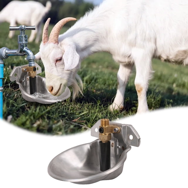 Durable Farm Animal Water Automatic Livestock Drinker with Safe Rounded Design for Cattle and Sheep
