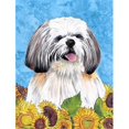 thumbnail image 1 of Carolines Treasures SC9075CHF Shih Tzu Drapeau Toile Maison Taille, 1 of 4