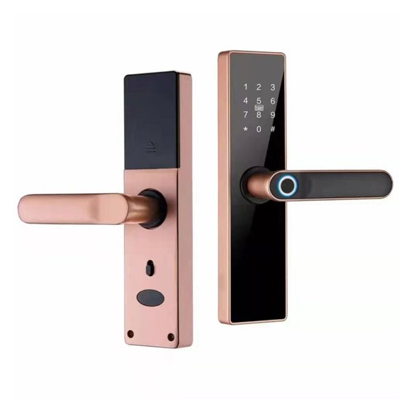 Serrure de Porte Intelligente Tuya Serrure Électronique Serrure à Empreinte Digitale Mot de Passe Carte IC Clé Charge USB pour Maison Intelligente