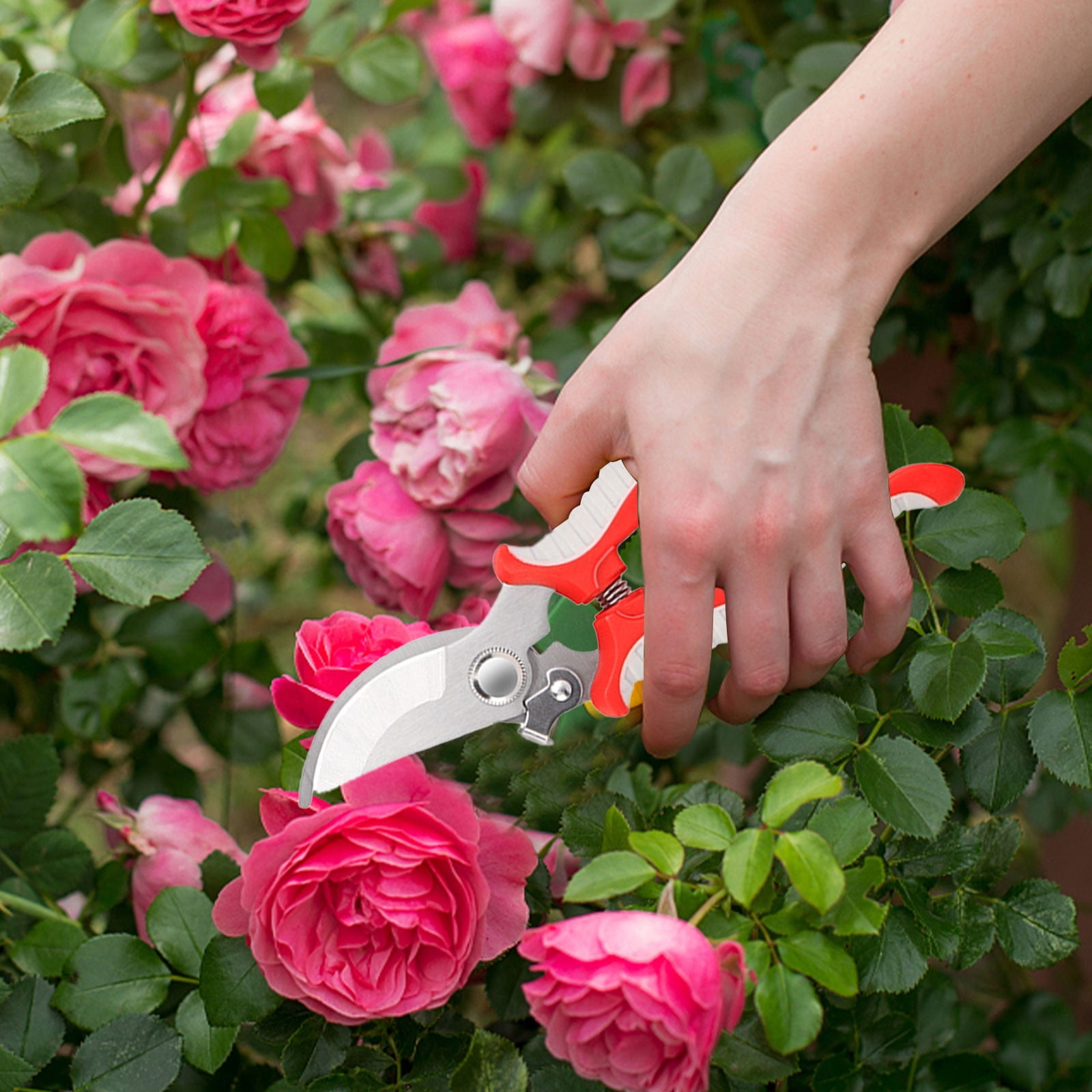 Pruning Shears for Gardening,Bypass Pruning Shears,Garden Pruning Shears Stainless Steel Blades Handheld Pruners Bypass Pruning Shears for Your Garden,Garden Shears Pruning,Garden Pruning Shears