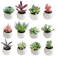 thumbnail image 2 of Coofit 3PCS Artificial Succulents Mini Decorative Potted Fake Succulents Faux Plants, 2 of 9