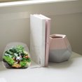 thumbnail image 3 of Shisuyan 1 Pc Microlandschaft Terrarium Flower Glass Vase Micro-Ecology Environment Bottles Succulent Plant Vase Glass Container for Flower (Transparent), 3 of 9