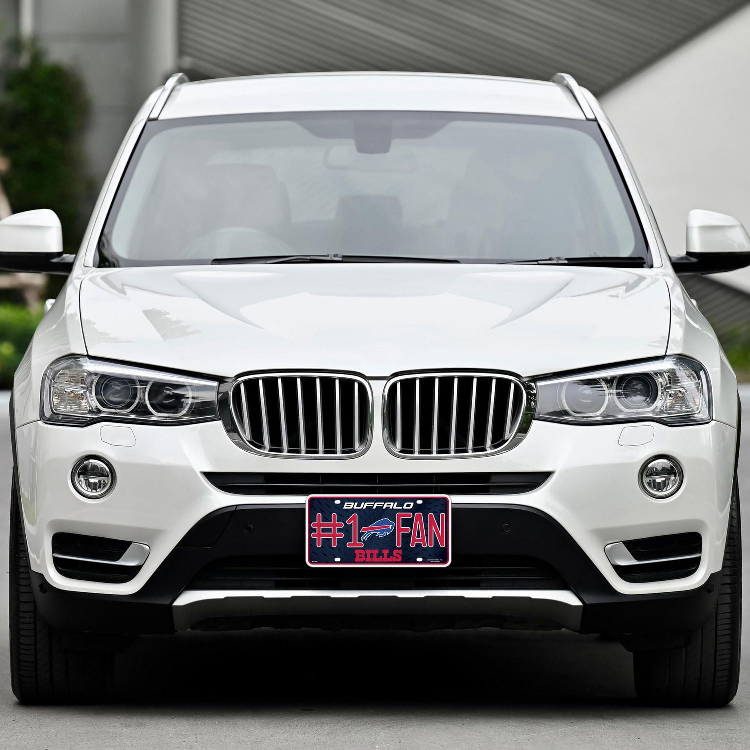 NFL Buffalo Bills Metal License Plate