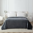 thumbnail image 1 of Mainstays Plush Blanket Gray T, 1 of 8