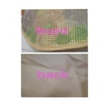 thumbnail image 3 of Trousse d'Accrochage pour Loquet de Tapis d'Oiseaux, 3 of 6