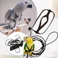 thumbnail image 4 of Parrot Oiseau Harnais Laisse Réglable Entraînement Corde Volant Sangles de Traction Bande, 4 of 4