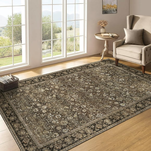 BERTHMEER 3'x5' Brown Area Rugs for Living Room Bedroom Dining Room Kitchen Rugs Non Slip Washable Farmhouse Office Oriental Vintage Carpets Tapis