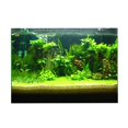 thumbnail image 2 of Milaget 3D Aquarium Universal Landscape Poster Single Sided Background , 122x61cm, 2 of 9