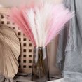 thumbnail image 2 of Wweixi 3piece Peaceful With Pampas Reed Decoration Downy And Durable Boho Decor Pinkish Purple 1Set, 2 of 6