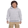 thumbnail image 1 of Hanes - Chandail à Capuchon pour Jeunes Ecosmart, 1 of 1
