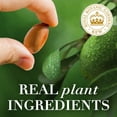 thumbnail image 2 of Herbal Essences Repair + Strength Argan Oil Shampoo, Paraben-Free, 600 ml, 2 of 5