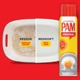 thumbnail image 2 of PAM HUILE VAPORISATEUR, 170g, 2 of 6