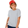 thumbnail image 1 of Hanes Garçon ComfortBlend EcoSmart Col Ras du Cou, TG, Cendre, 1 of 3