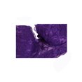 thumbnail image 2 of INSPIRE CHIC Women Full Cup Bras Breathable Comfort Floral Lace Full Coverage Non Padded Underwired Bra 42/95 Fit 40B/C Purple, 2 of 7