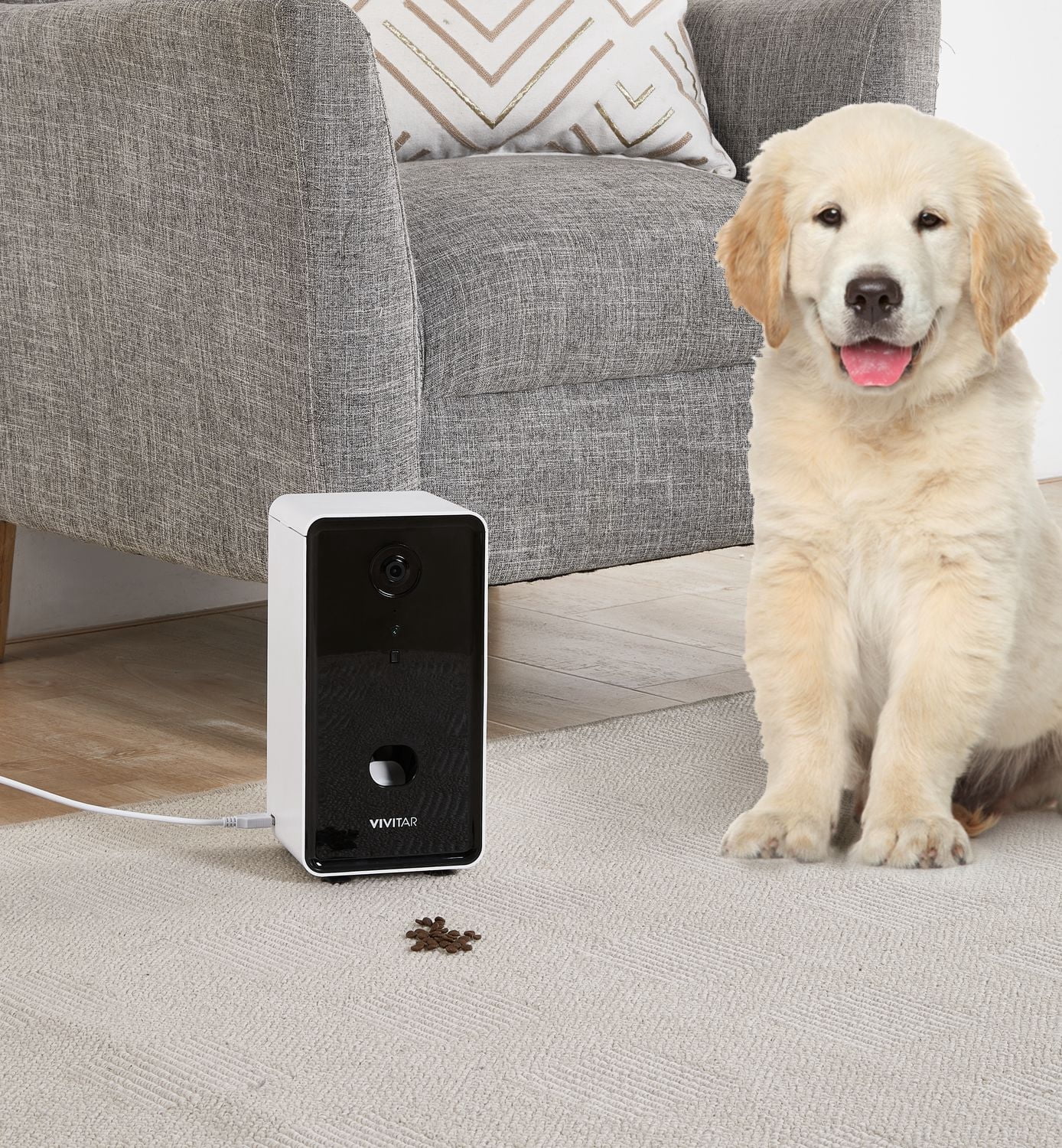 distributeur pour animaux de compagnie
