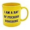 thumbnail image 3 of Ray of F****** Sunshine 22 Ounce Mug, 3 of 4
