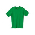 thumbnail image 1 of Hanes Kids Authentic TAGLESS Cotton T-Shirt, S, Shamrock Green, 1 of 4