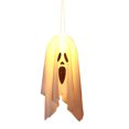 thumbnail image 1 of Small White Led Ghost Lantern String Light Handheld Pumpkin Lamp Battery Powered Halloween Party Decoration For Indoor Outdoor Use Polyester Fiber C, 1 of 8