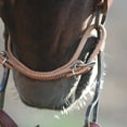 thumbnail image 4 of Martin Harnais Sangle en Cuir, 4 of 4