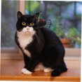 thumbnail image 2 of Riforla Cat Feather Wand Cat Wand Replacement Teasing Wand Cat Teasers B 5x5cm, 2 of 4