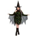 thumbnail image 1 of Costume Adulte Grande Miss Enchantement pour Femmes, 1 of 2