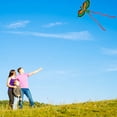 thumbnail image 3 of EIMELI Flying 3D Cartoon Parrot Kite Children Outdoor Kids Toy Fun Activity Game Gift, 3 of 7
