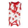 thumbnail image 2 of Cat Recovery Suit Kitten Recovery Suit After Surgery Wear Breathable Prevent Lick Kitten Recovery Shirt Clothes For Cats Dogs, 2 of 8