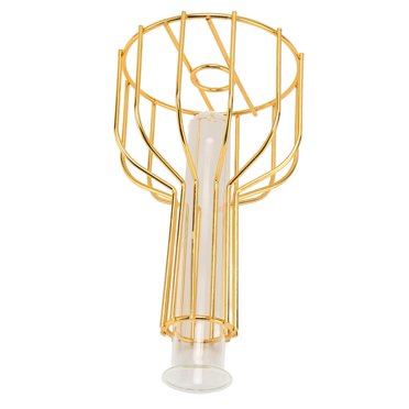 Test Tube Vase, Metal Flower Vase Iron Glass Golden Appearance Modern Elegant  For Home