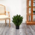 thumbnail image 4 of Nearly Natural 6880 2` Cedar Artificial Bush (Indoor/Outdoor), 4 of 5