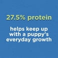 thumbnail image 4 of Purina Puppy Chow Complete with Real Chicken, Dry Puppy Food 11.4kg, 4 of 10