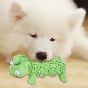 Jouet pour chien, peluche 2 Jouet de morsure de chien Pcs, Jouet pour chien