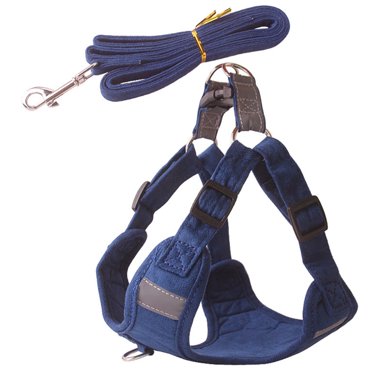 Harnais pour Animal, Bande Réfléchissante Mignonne, Harnais pour Chiot, Harnais Gilet pour Chien avec Laisse pour Animal