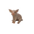 thumbnail image 1 of Garden Decor Animal Statue Small Sitting Pig Statue, 1 of 4
