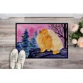 thumbnail image 2 of Carolines Treasures SS8606JMAT Tapis Intérieur Ou Extérieur 24 x 36 Po. Pomeranian, 2 of 4