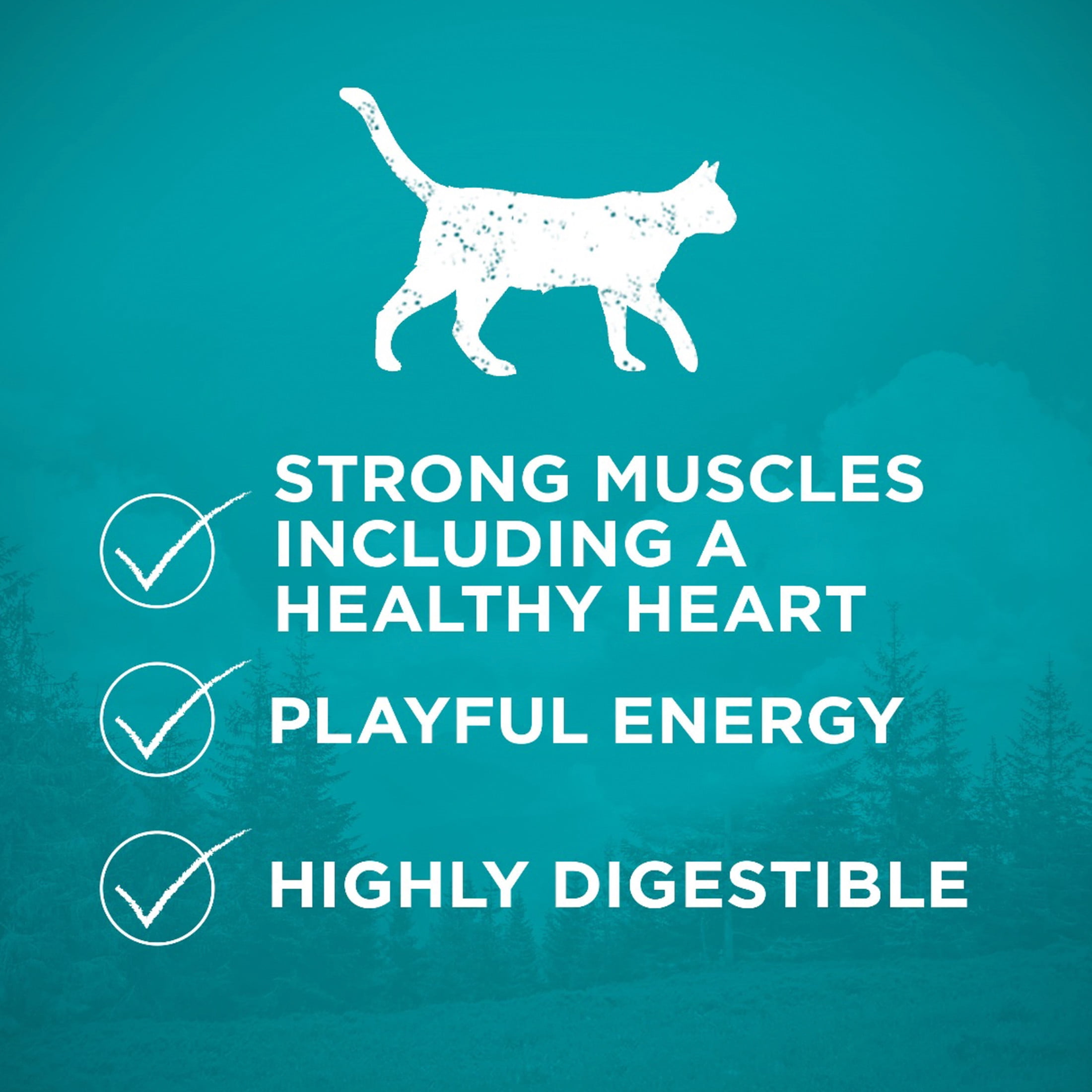 Purina ONE Véritable Instinct Poulet Sans Grains, Nourriture Sèche pour Chats 1.45kg