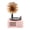 Pink, variant on Milaget Turntable Player Bluetooth 5.0 Classic for Decoration Pink