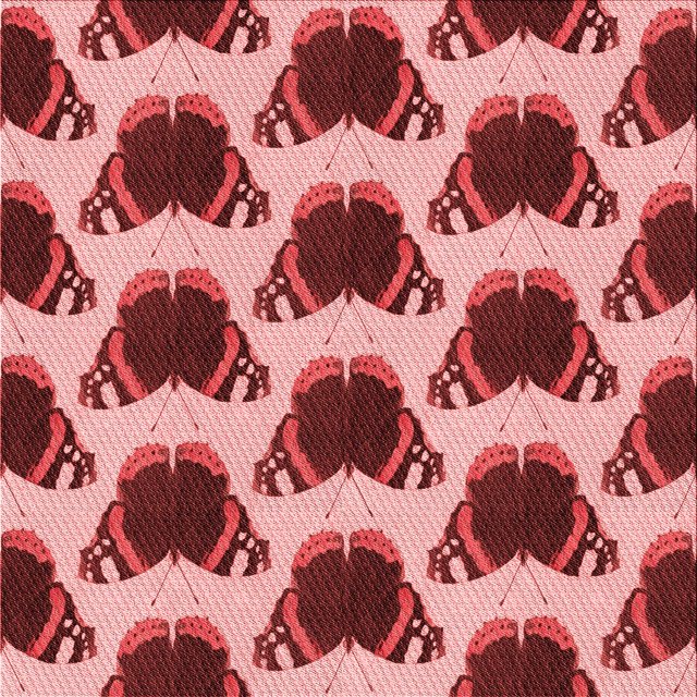 Ahgly Company Tapis d'Intérieur Lavable à la Machine, Carré, Transitionnel, Corail Clair Rose, Tapis de Zone, 7 Pieds Carré