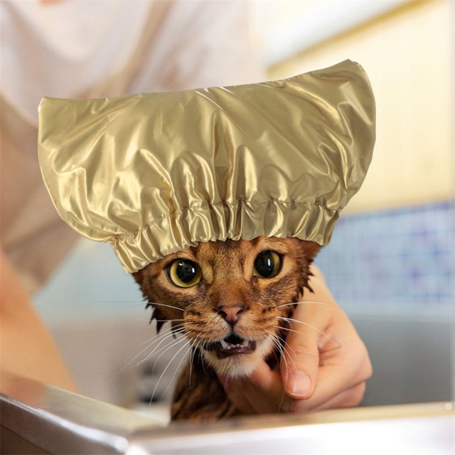 CBFFDC Chapeau de Bain Élastique pour Animaux de Compagnie Imperméable Attache Ajustable Protection des Oreilles Confortable pour le Toilettage des Animaux