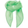 thumbnail image 1 of Premier Ladies/Womens Work Chiffon Formal Scarf, 1 of 3
