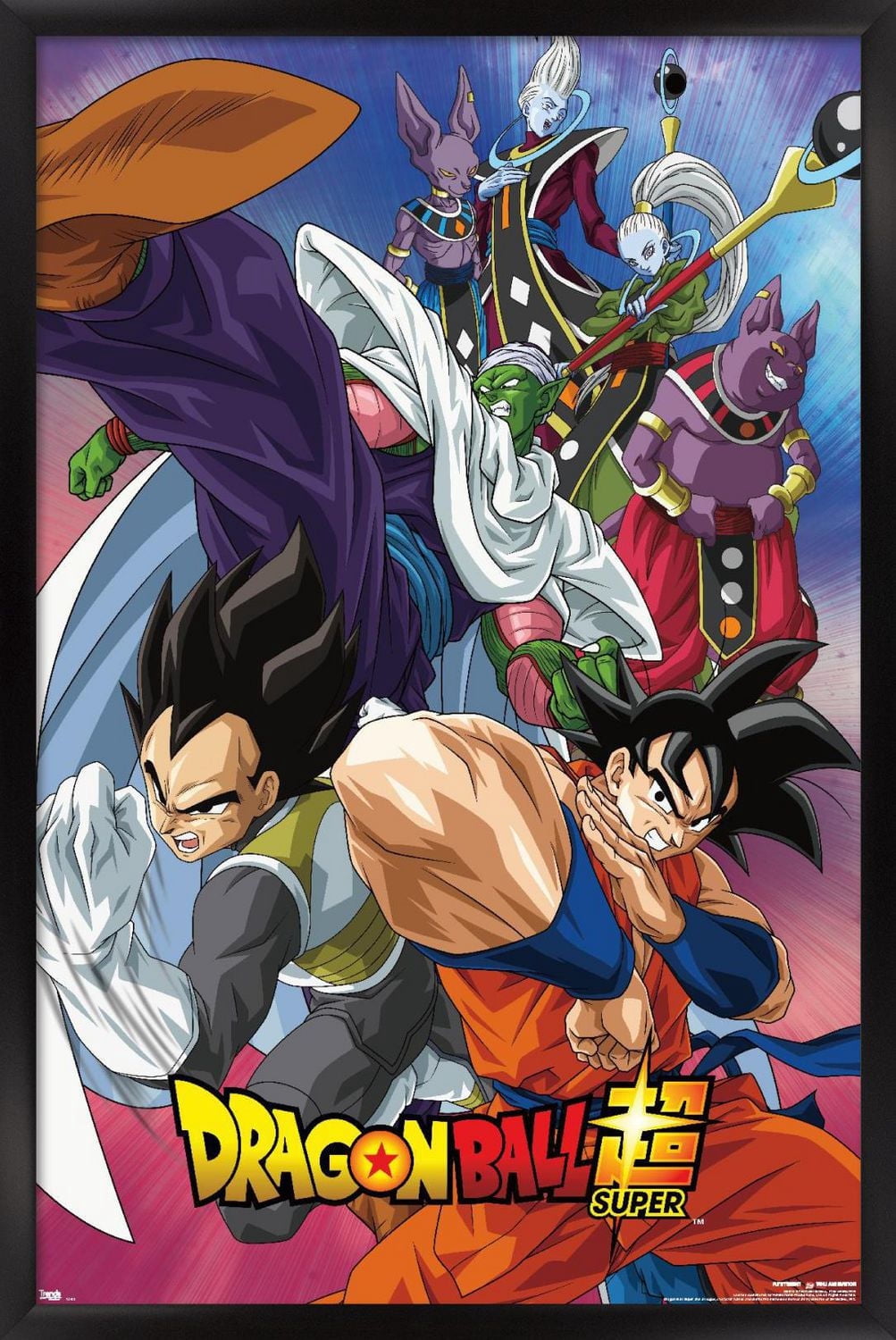 Dragon Ball : Super - Groupe