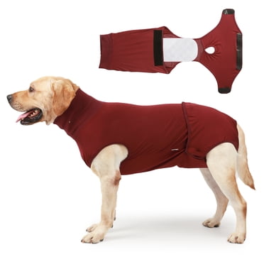 Combinaison de Convalescence pour Chien, Chirurgie, Grenouillère pour Chien, Alternatives au Cône, Stérilisation, Combinaison de Récupération Chirurgicale