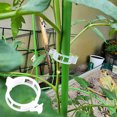 thumbnail image 3 of Visland Clips de Support en Plastique pour Plantes Clips de Treillis Réutilisables pour Tomates Plantes Grimpantes Vignes Concombres Usage Intérieur Extérieur, 3 of 8