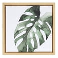 thumbnail image 1 of Toile encadrée Montera Tropical Syvania 30,5 x 30,5 cm de DesignOvation, 1 of 8
