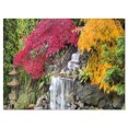 thumbnail image 2 of Japanese Maple Trees - Floral Photography Art, 2 of 3