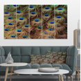 thumbnail image 1 of Peacock Bird Tail Feathers in Close Up - Animal Canvas Art Print, 1 of 4