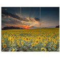 thumbnail image 3 of Designart - Sunflower Sunset with Cloudy Sky - Large Landscape Canvas Art, 3 of 4