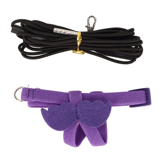 Bird Harness And Leash, Bite Resistant Bird Flying Harness Traction Rope Adjustable Ergonomic Flexible Wing Design With Comfortable Handle For Birds XS,S,M,L