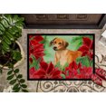 thumbnail image 3 of Carolines Treasures CK1324MAT Rhodesian Ridgeback Poinsettas Indoor or Outdoor Mat, 18 x 27 in., 3 of 4